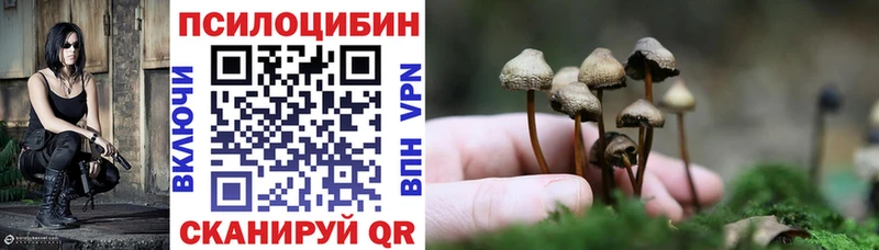 сколько стоит  Волхов  OMG онион  Галлюциногенные грибы Psilocybe 
